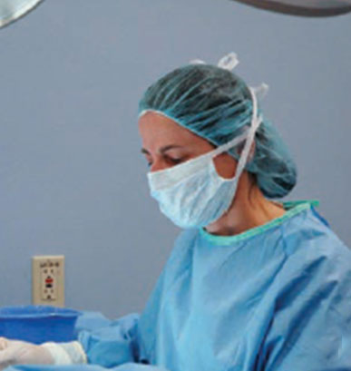 Amy Kapatkin, DVM, MAS