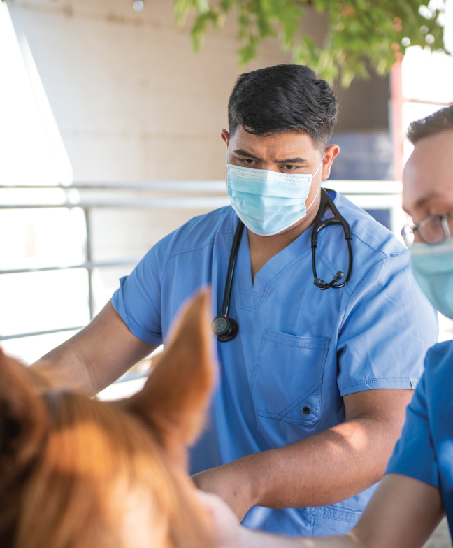 Santoyo received the Oscar and Lucy Hagerud Veterinary Science Scholarship endowment, which was established in 2017 by an estate gift from Robert Hagerud.