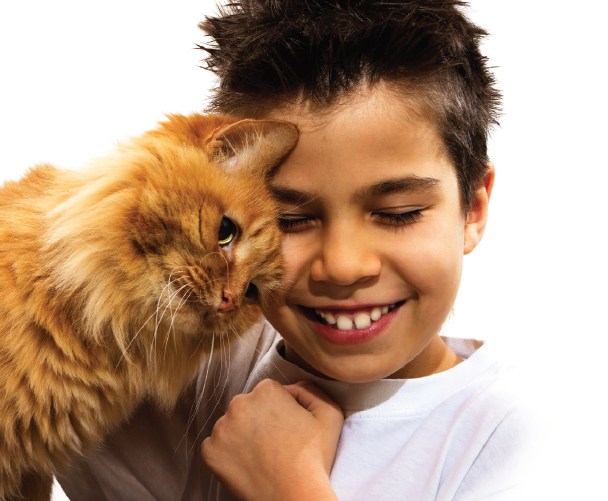 Feeling Anxious? A Cat May Be Your Purr-fect Companion