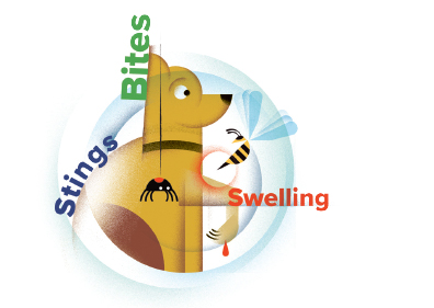 Insect Bites or Stings
