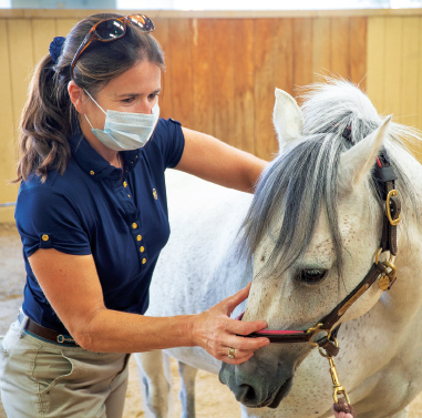 Dr. Sarah le Jeune, chief of the Equine Integrative Sports Medicine Service at the UC Davis veterinary hospital.