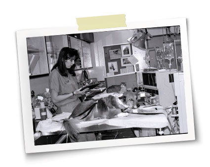 Cathy Bowen, a hemodialysis technician, watches over her patients.