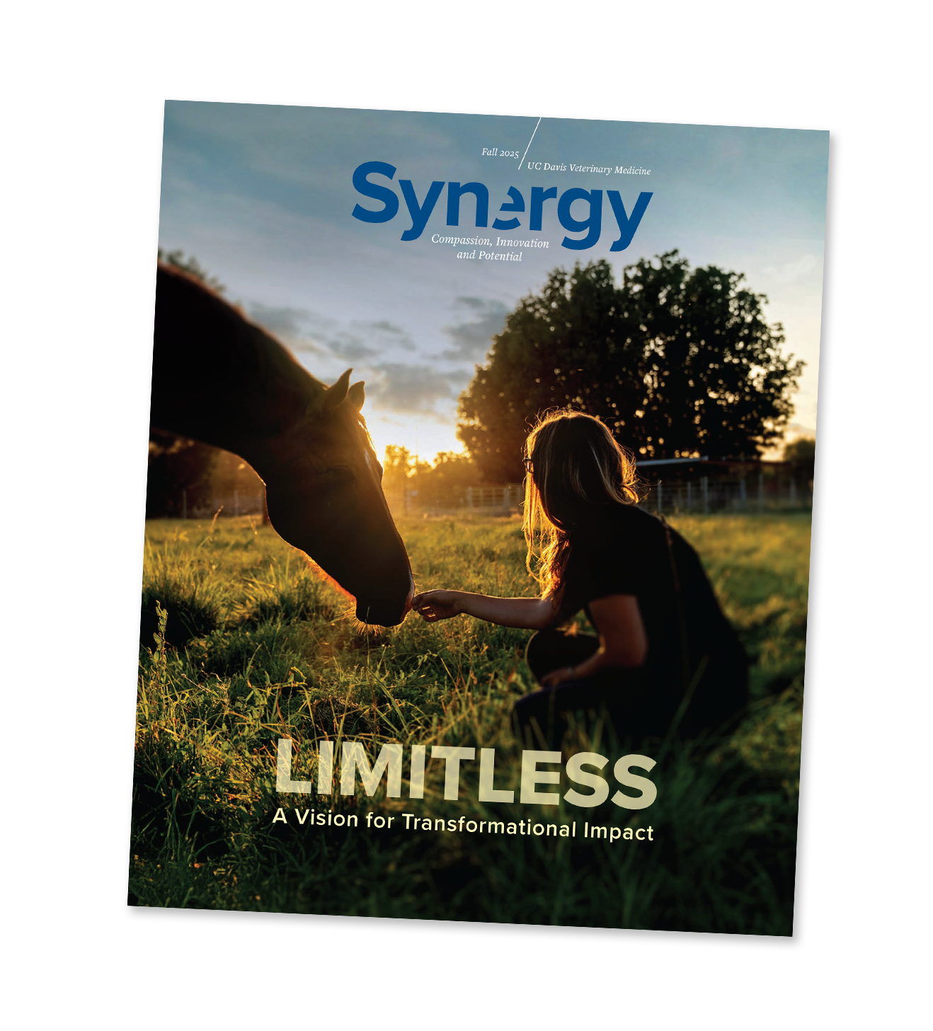 Cover of the Fall 2025 Issue