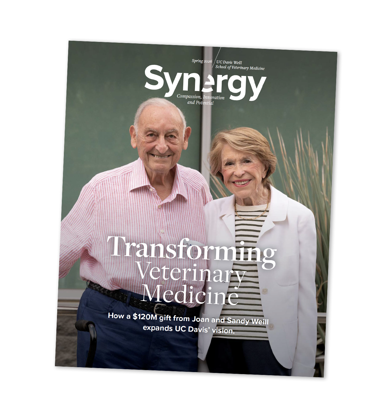 Magazine cover showing smiling older couple under 'Synergy' title and veterinary headline