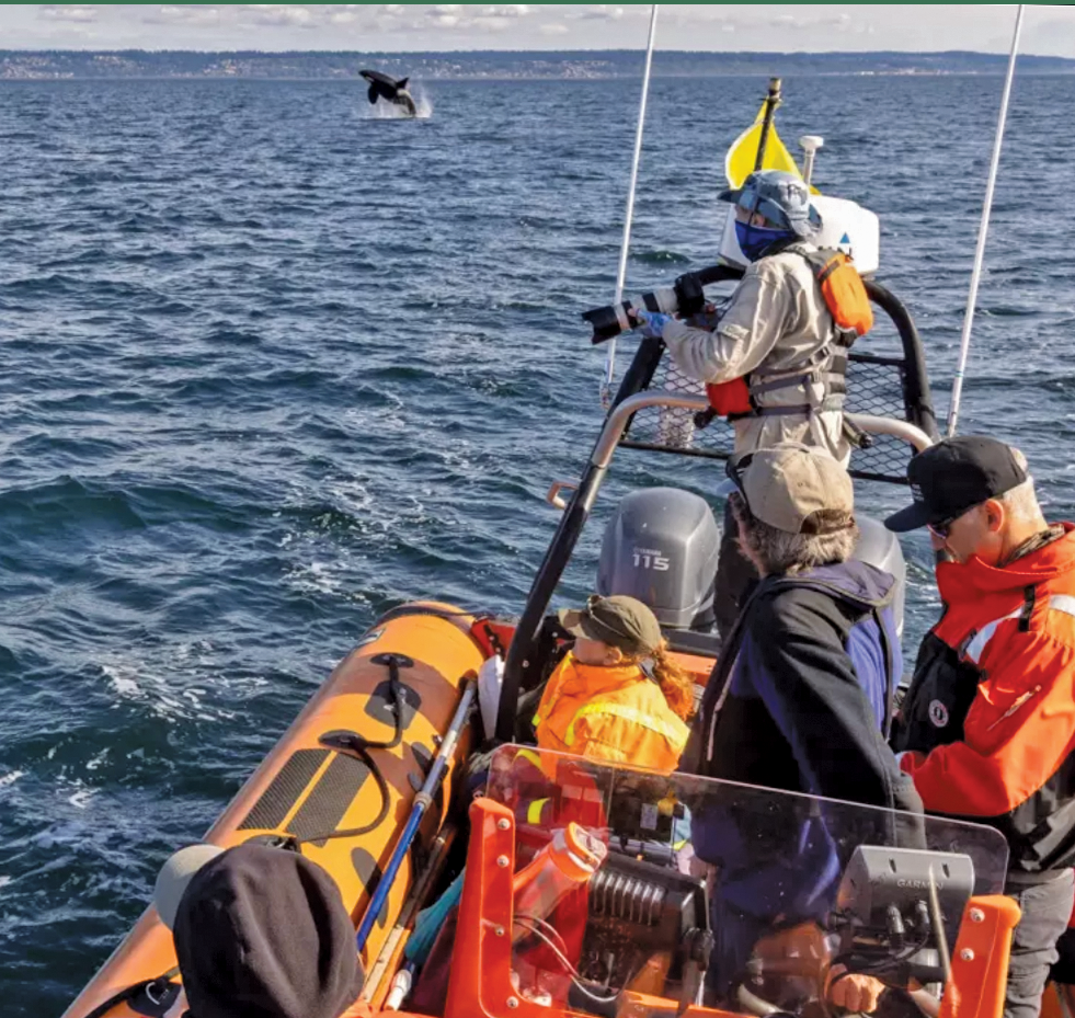 scientists on a boat with a killer whale in the background