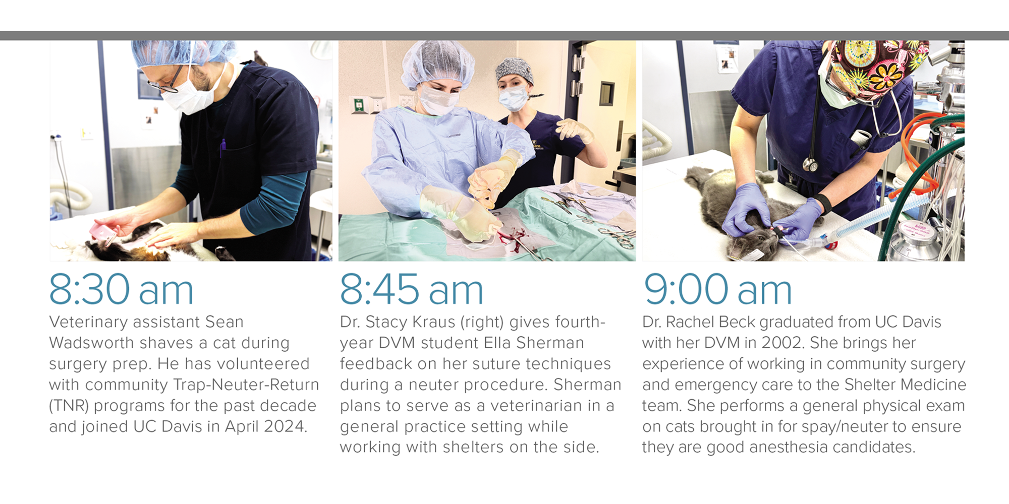 8:30 am: Veterinary assistant Sean Wadsworth shaves a cat during surgery prep; 8:45 am: Dr. Stacy Kraus (right) gives DVM student Ella Sherman feedback on her suture techniques during a neuter procedure; 9:00am: Dr. Rachel Beck performs a general physical exam on cats brought in for spay/neuter.