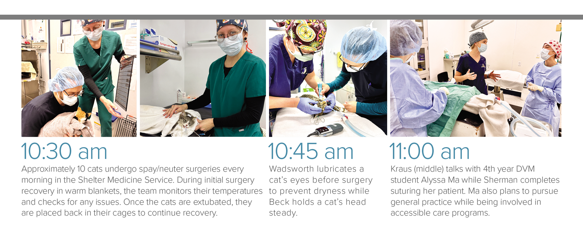 10:30am: Cats who have undergone surgery recover in warm blankets, while the team monitors them; 10:30: Wadsworth lubricates a cat’s eyes before surgery to prevent dryness while Beck holds a cat’s head steady; 11:00am: Kraus (middle) talks with student Alyssa Ma while Sherman completes suturing her patient.