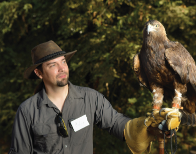 Part-time manager Billy Thein with Sullivan, a golden eagle who came to the center in 2012 with a badly broken left wing that required partial amputation. Sullivan was trained as an Education Bird and was the star of many public presentations until his retirement from the glove. He can be now be seen in the eagle exhibit at the front of the center.