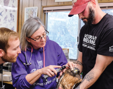 Dr. Michelle Hawkins, with the assistance of volunteer Ross Lewin (right), demonstrates clinical exam techniques for third year veterinary students.