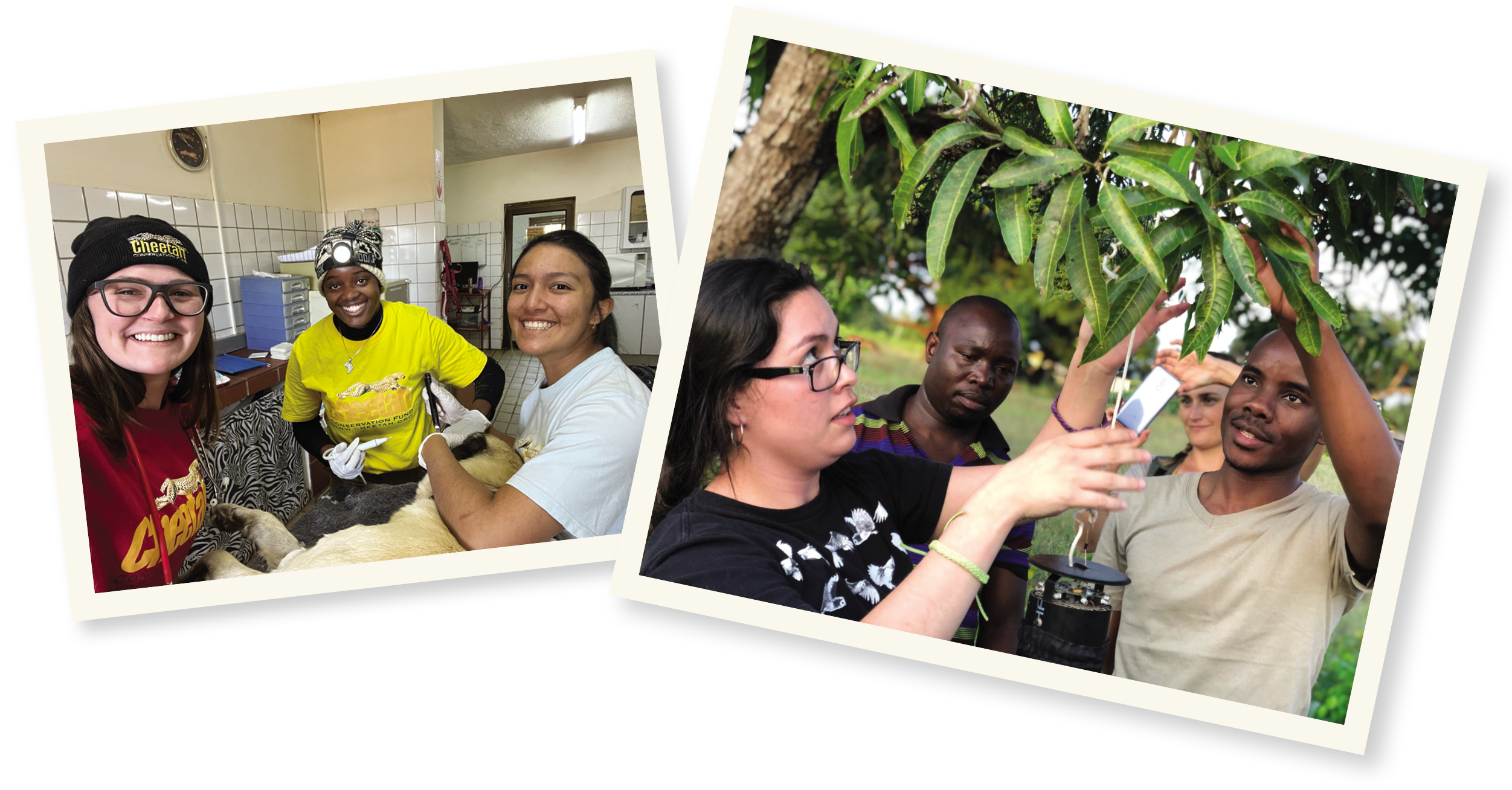 Two travel photos: Three students examine a dog and three students looking at leaves on a tree.