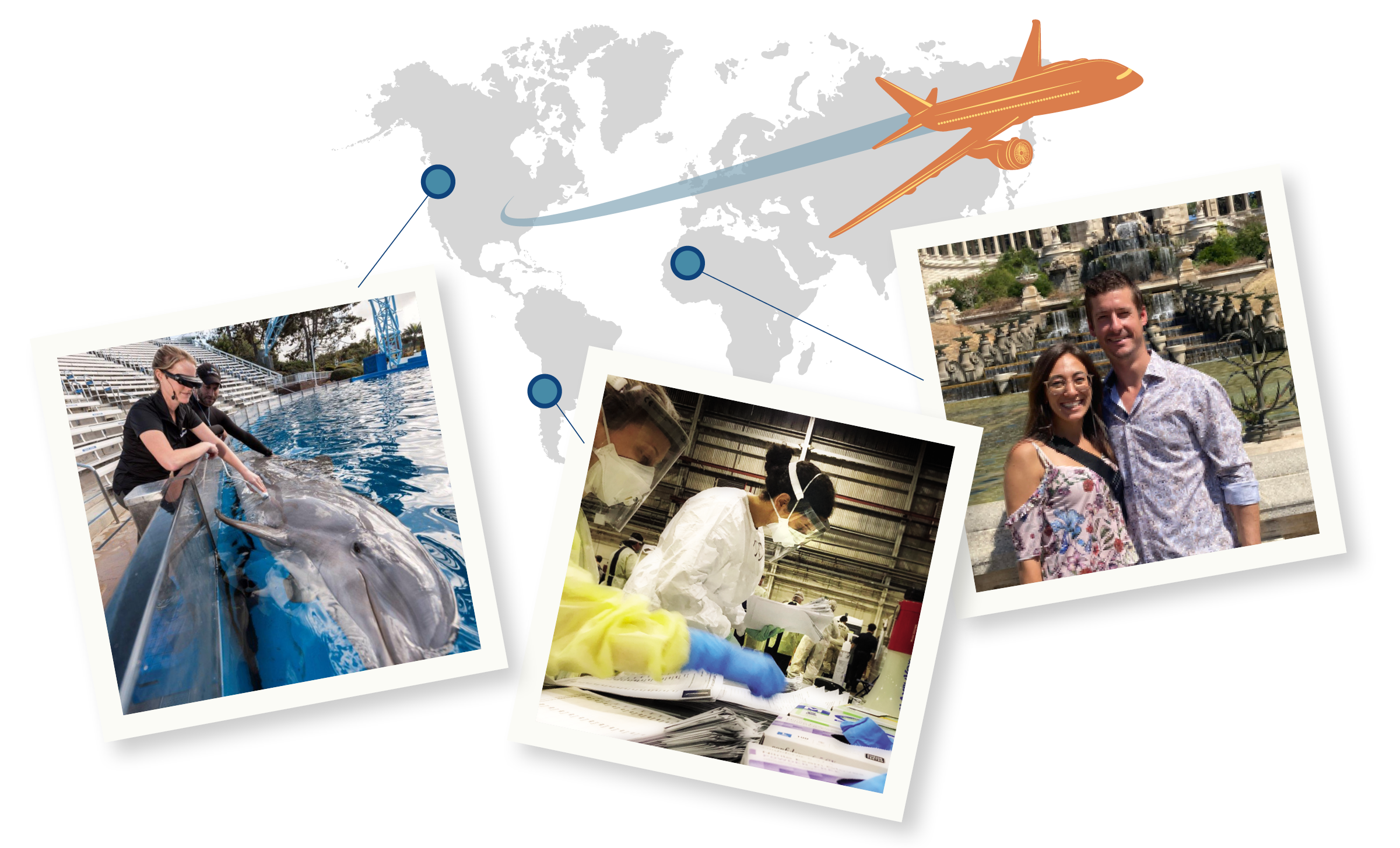 Three travel photos: A student touching a dolphin, two students in a lab, two students posing in front of a fountain.