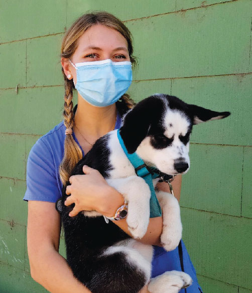 Madison Luker at the Knights Landing One Health Clinic (above) that provides free veterinary care for an underserved population, and with her lab, Ellie, in the UC Davis Arboretum.