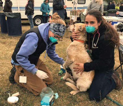 When Ariana Dubelko and - Best Friends Animal Society