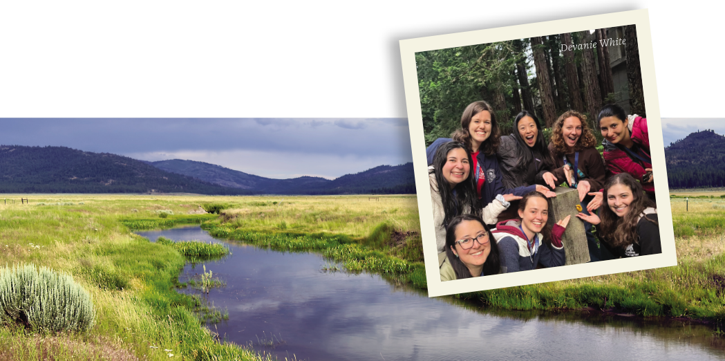 A photo of the wetlands and another photo of students gathered under redwood trees..