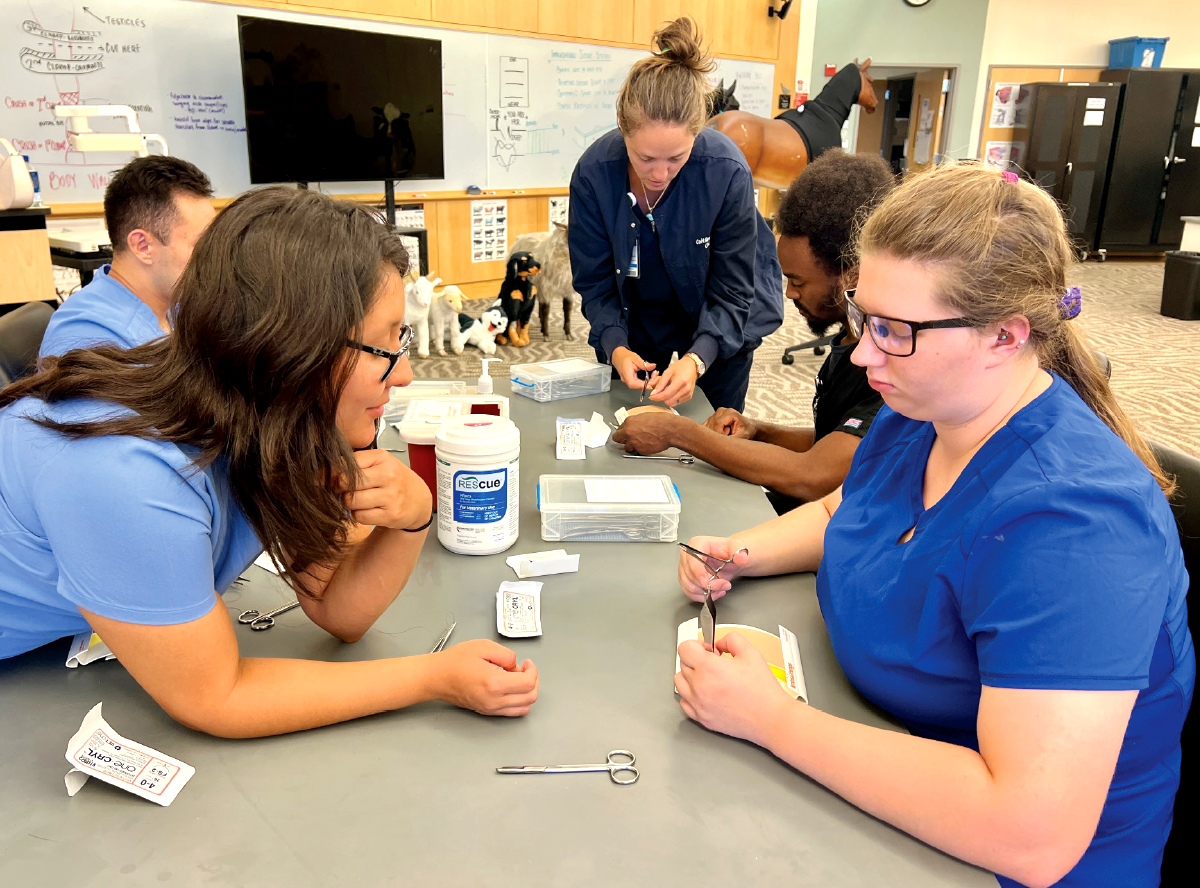 A group of students in a suturing skills clinical lab.