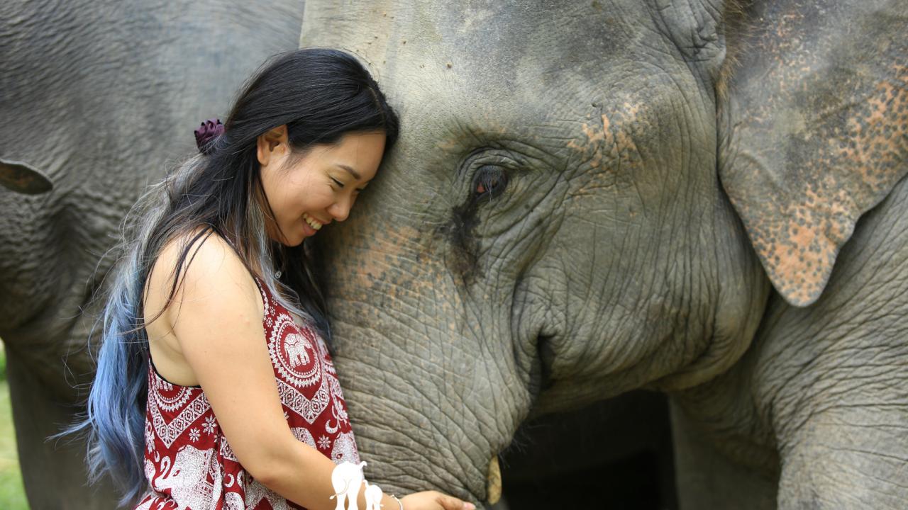 Traci Hayward with elephant