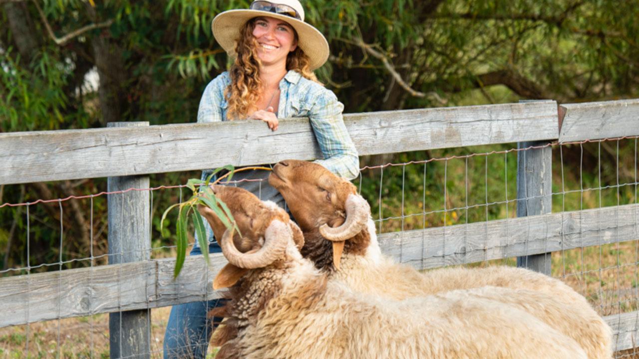 Leading the Way in Livestock Health