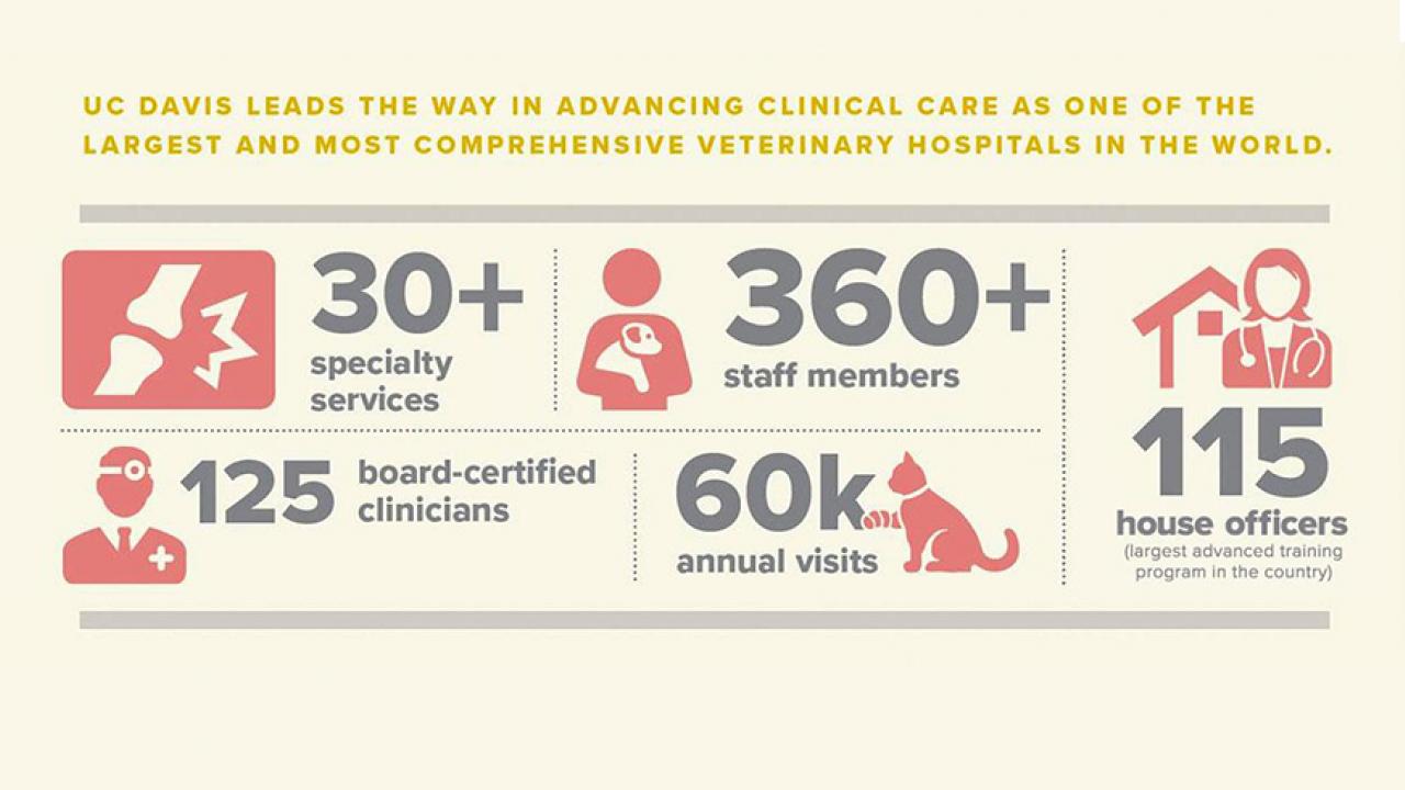 Clinical Advances