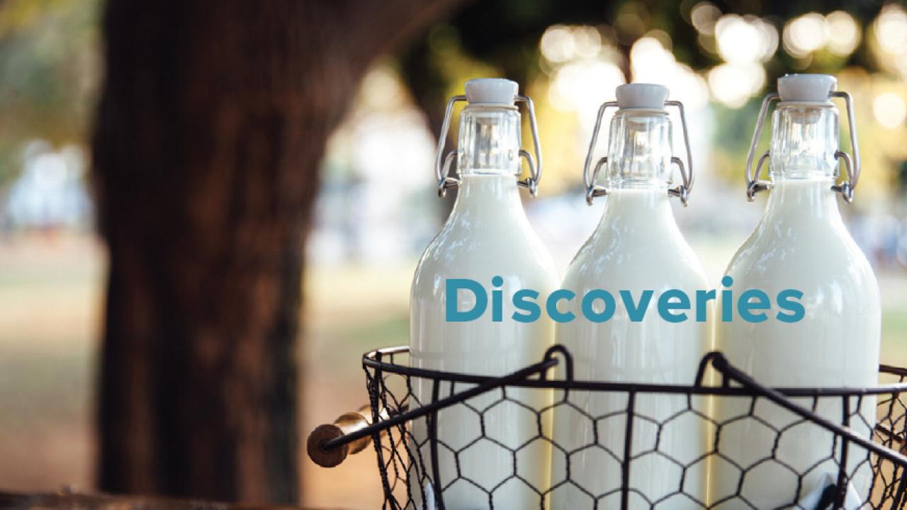 Discoveries - Fall 2020