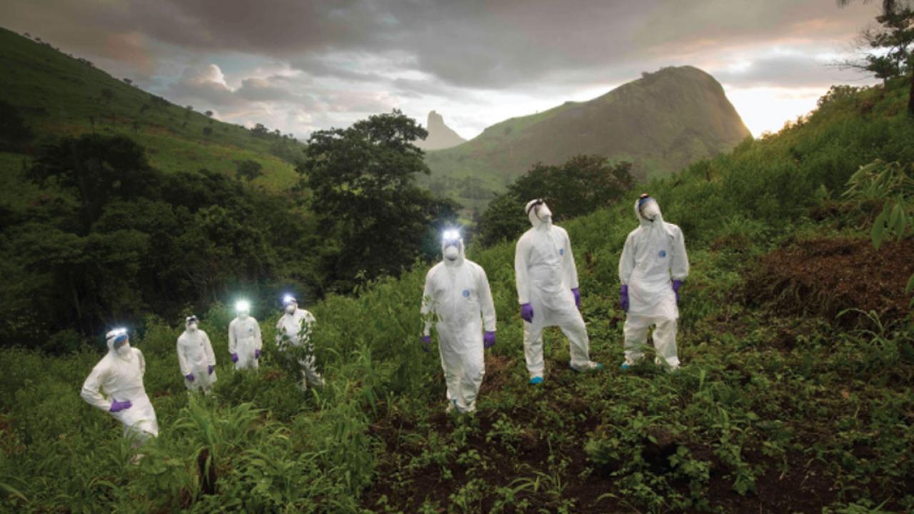 PREDICT field teams in Sierra Leone approach mist nets to remove bats for sampling. Photo credit Simon Townsley.