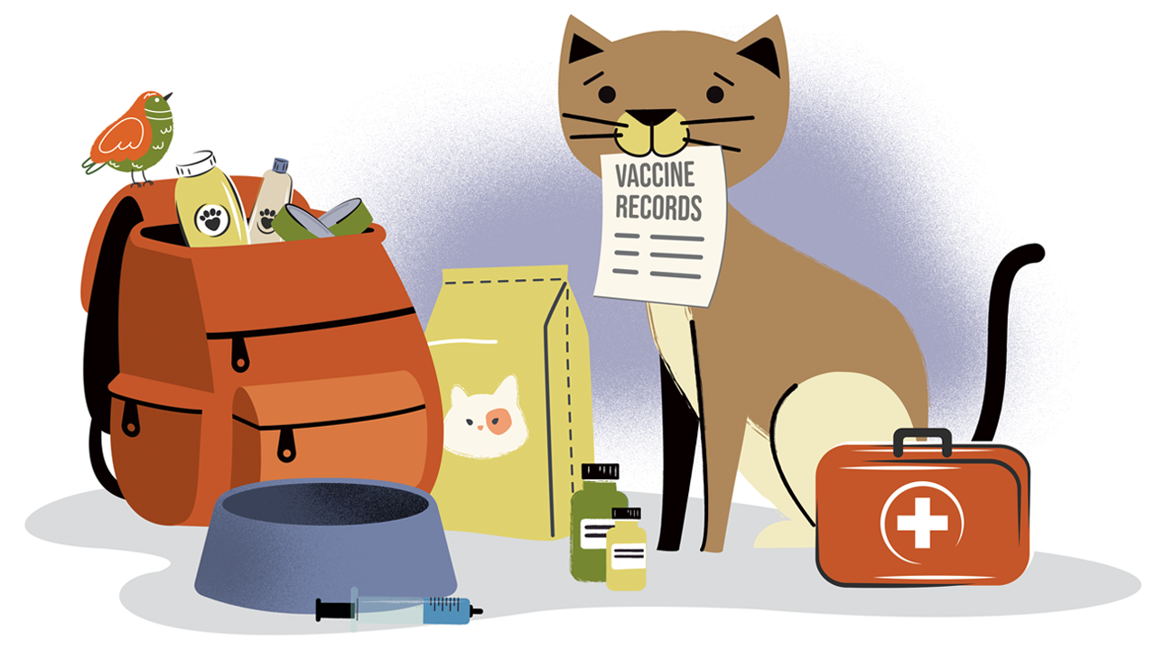 An illustration of a cat and a bird with an emergency go bag kit.