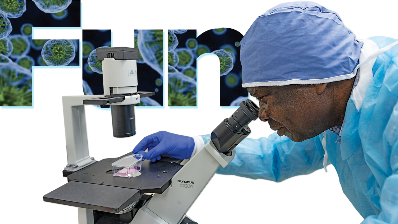 Dr. Rumbeiha looks through a microscope
