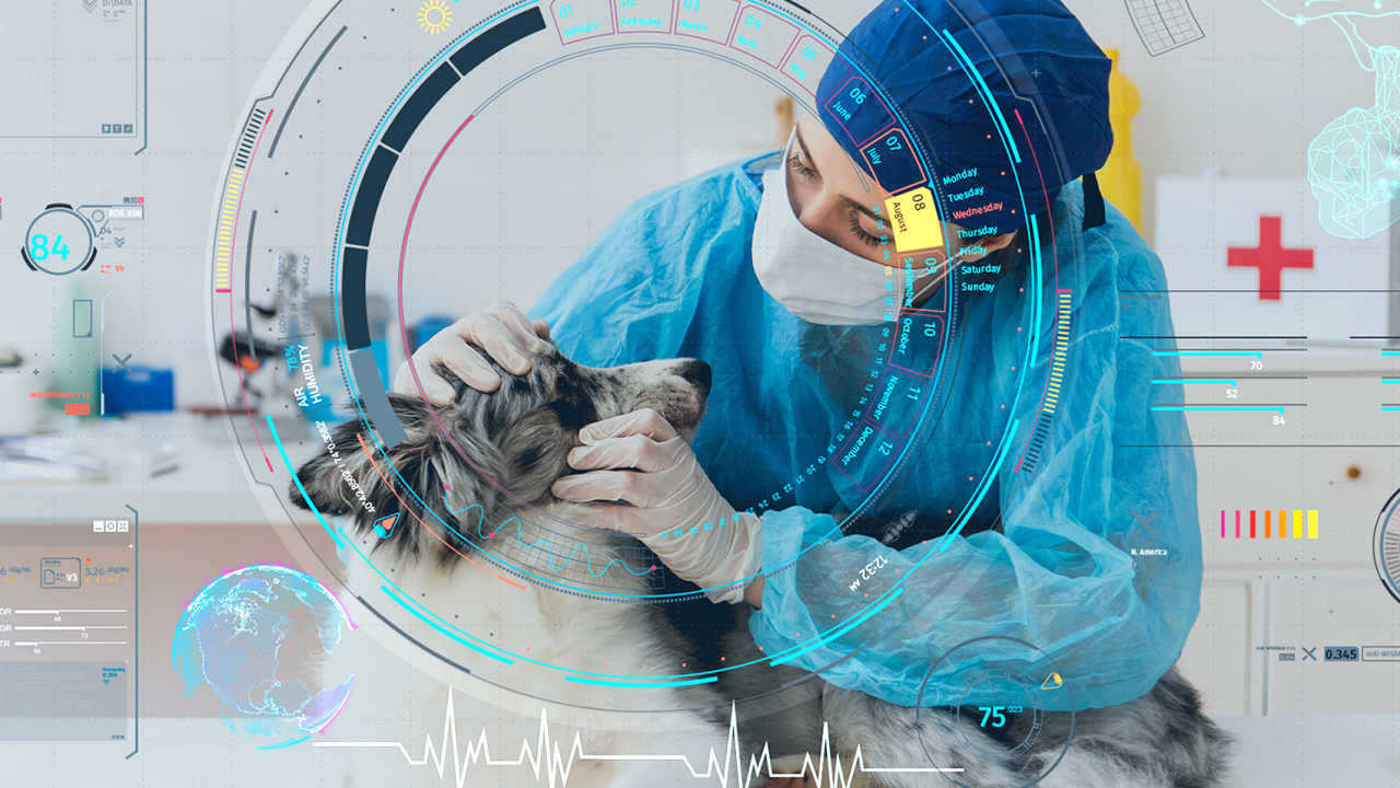 A vet treating a dog with AI overlay