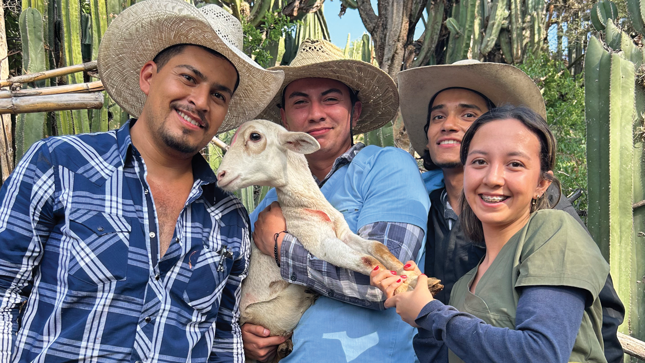 DVM student Diego Roque Aguayo holding a goat while standing with his mentor and two other vet students.