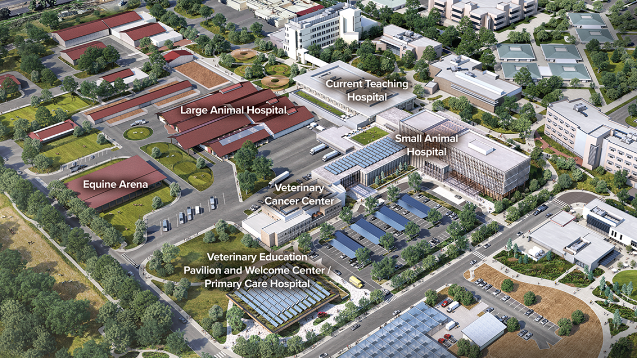 Aerial architectural rendering of a college campus with buildings, green courtyards and solar panels.