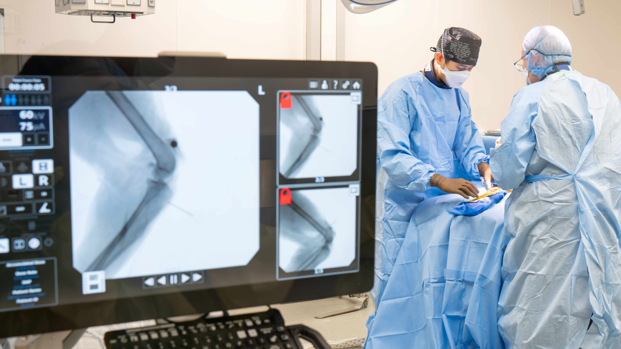 Two surgeons performing a procedure at the the Advanced Veterinary Surgery Center.