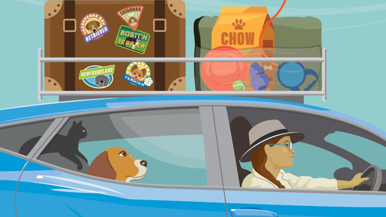 Pet Travel