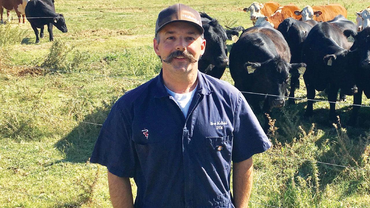 Large Animal Clinic Director Dr. Bret McNabb.