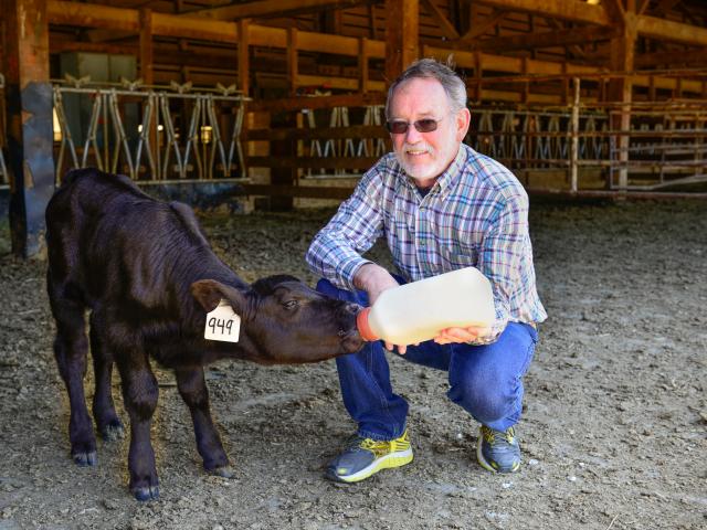 Jeff Stott with calf.