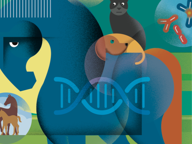 What Genetic Testing Can and Can't tell You about Your Pet