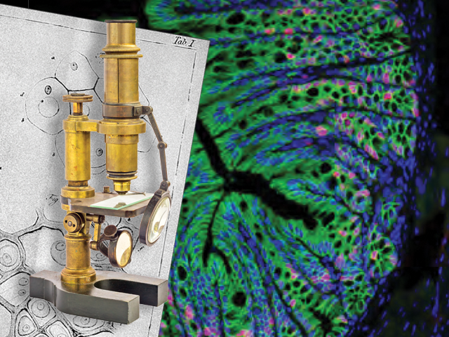 Envisioning Scientific Advances