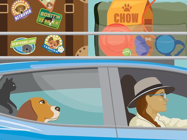 Pet Travel