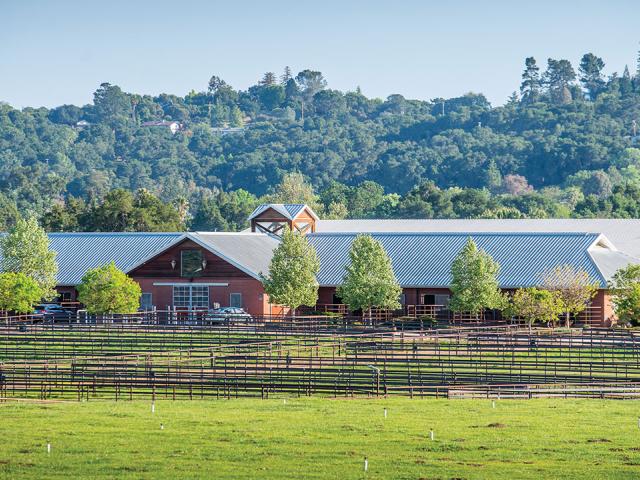 Templeton Farms