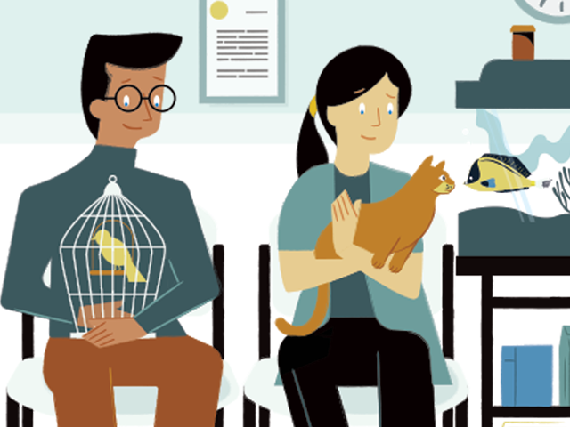 Maximize your vet visit 