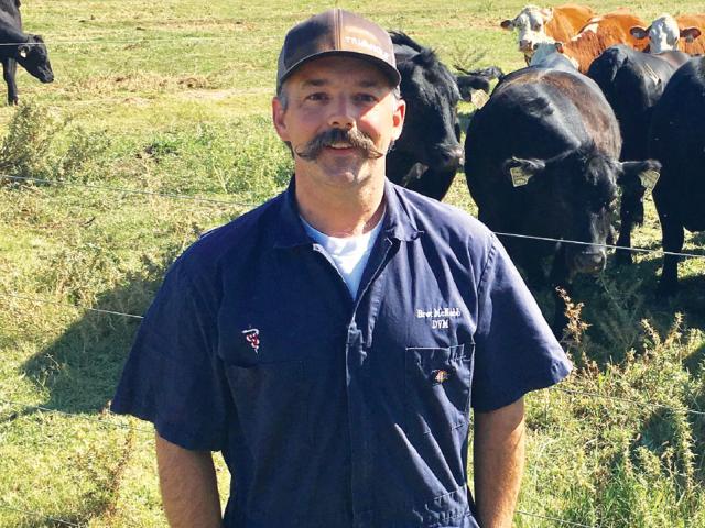 Large Animal Clinic Director Dr. Bret McNabb.