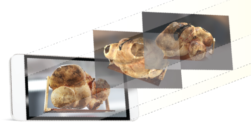 3D modeling of a cow rumen