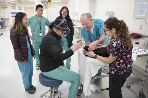 Faculty and residents from the veterinary and medical schools participate in joint rounds.