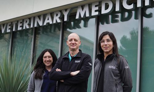 From left, Drs. Stephanie Goldschmidt, Boaz Arzi, and Maria Soltero-Rivera of the Dentistry and Oral Surgery Service. Photo: Mike Bannasch