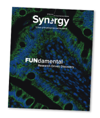 Cover of Synergy Magazine - Spring 2024