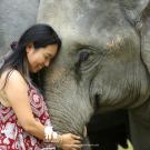 Traci Hayward with elephant