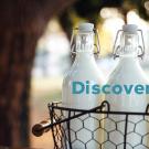Discoveries - Fall 2020