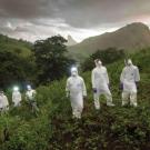 PREDICT field teams in Sierra Leone approach mist nets to remove bats for sampling. Photo credit Simon Townsley.