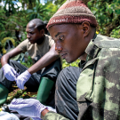 Gorilla Doctors in the field