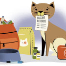 An illustration of a cat and a bird with an emergency go bag kit.