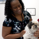 Two vets examining a dog on a clinic table.