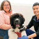 An owner and a vet sit with Olaf the dog.